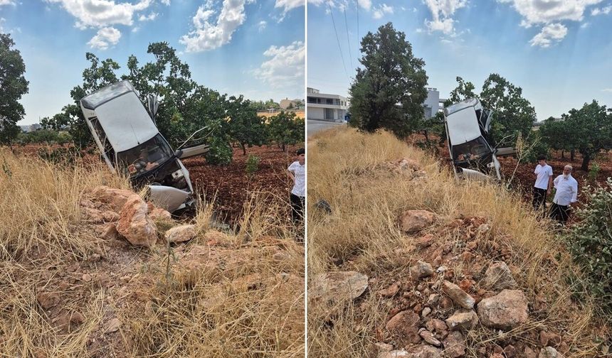 Otomobil fıstık ağacında asılı kaldı