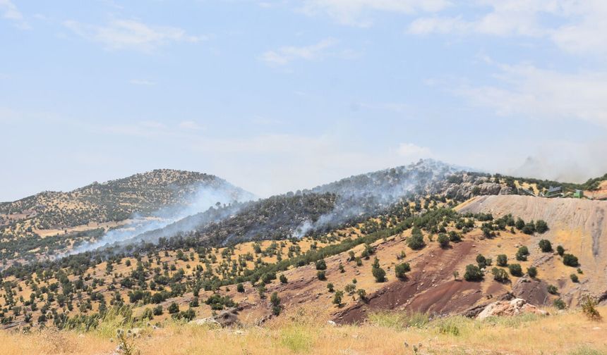 Şırnak'ta orman yangını