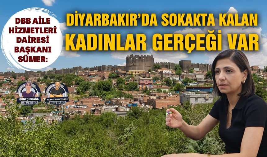 DBB Aile Hizmetleri Dairesi Başkanı Sümer: Diyarbakır’da sokakta kalan kadınlar gerçeği var