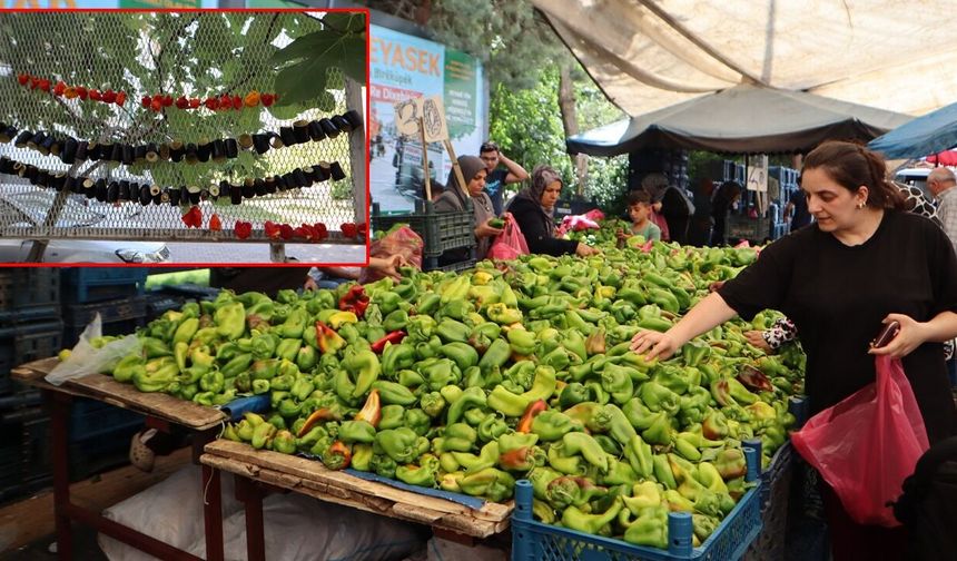 Diyarbakır’da kurutmalık sezonu başladı, balkonlar rengarenk oldu