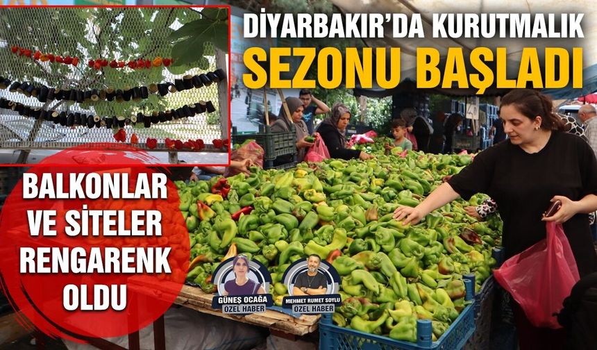 Diyarbakır’da kurutmalık sezonu başladı, balkonlar rengarenk oldu