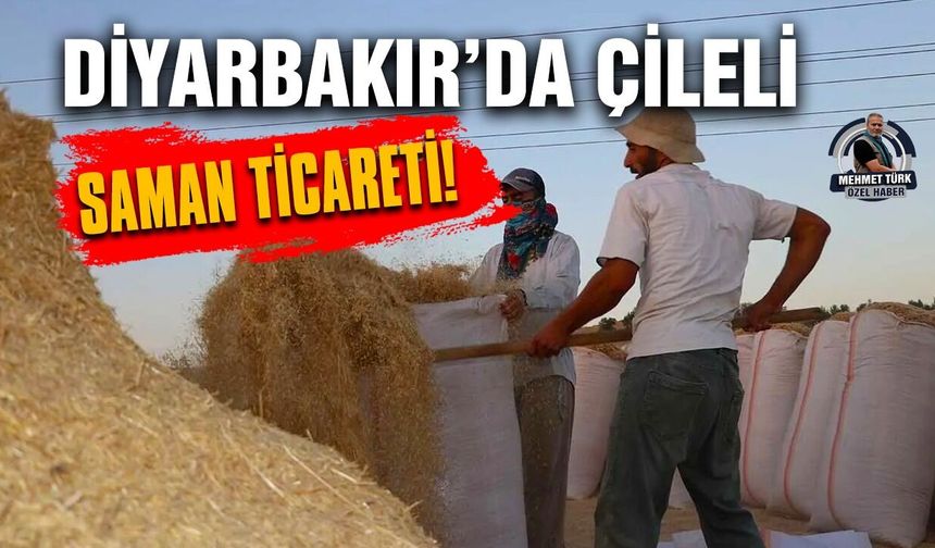 Diyarbakır’da çileli saman ticareti!