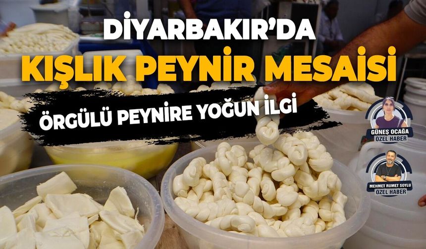 Diyarbakır’da kışlık peynir mesaisi:  Örgülü peynire yoğun ilgi