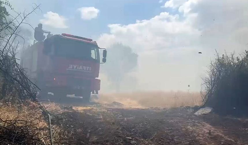 Diyarbakır'da örtü ve orman yangınında geniş alan zarar gördü