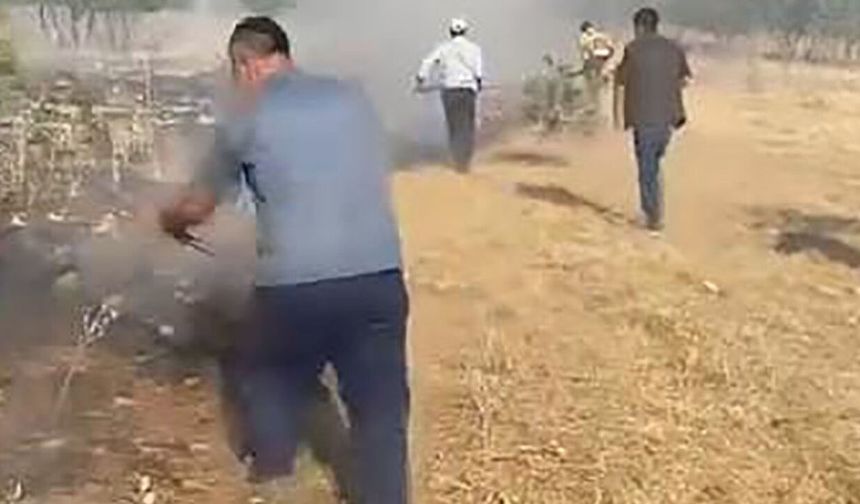 Diyarbakır’da ağaçlık alanda yangın