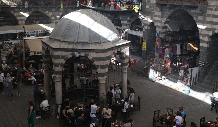 Diyarbakır’da Asırlık Çınar
