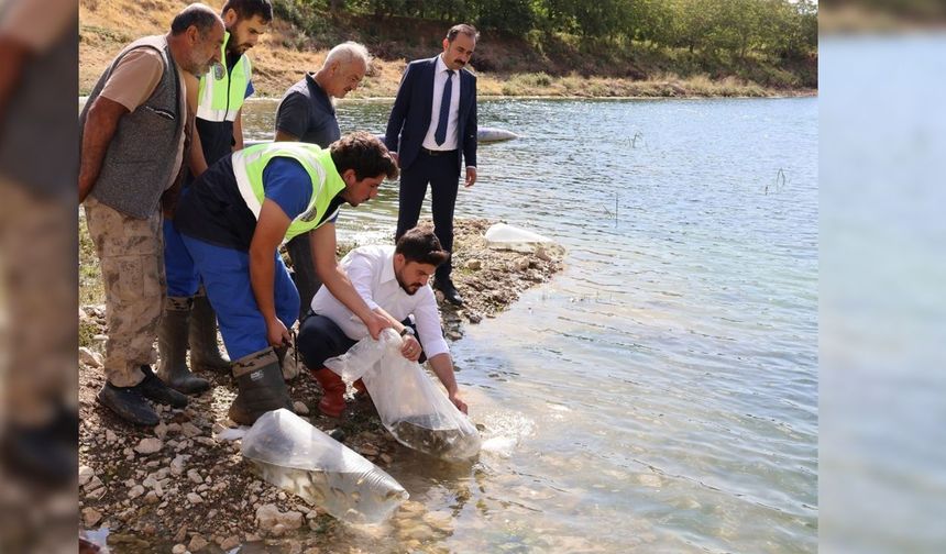 Bitlis’te göl ve göletlere milyonlarca yavru sazan bırakıldı