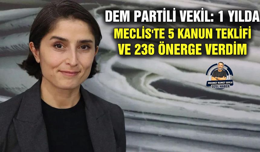 DEM Partili Vekil: 1 yılda Meclis'te 5 kanun teklifi ve 236 önerge verdim