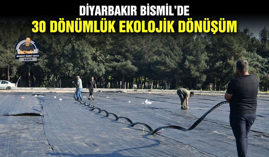 Diyarbakır Bismil’de 30 dönümlük ekolojik dönüşüm