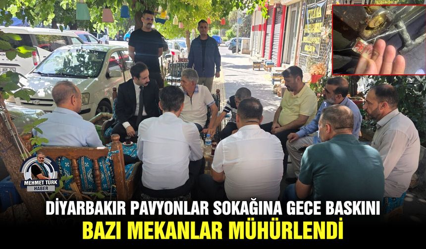 Diyarbakır Pavyonlar Sokağına gece baskını: Bazı mekanlar mühürlendi