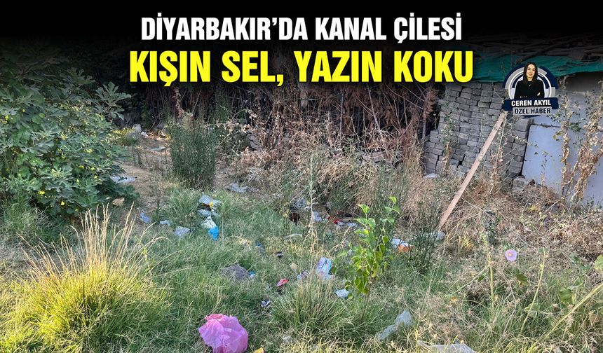 Diyarbakır’da kanal çilesi: Kışın sel, yazın koku