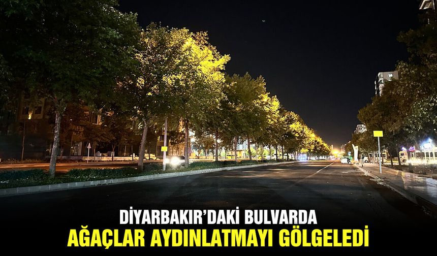 Diyarbakır’daki bulvarda ağaçlar aydınlatmayı gölgeledi
