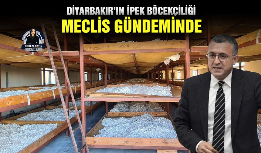 Diyarbakır’ın ipek böcekçiliği Meclis gündeminde