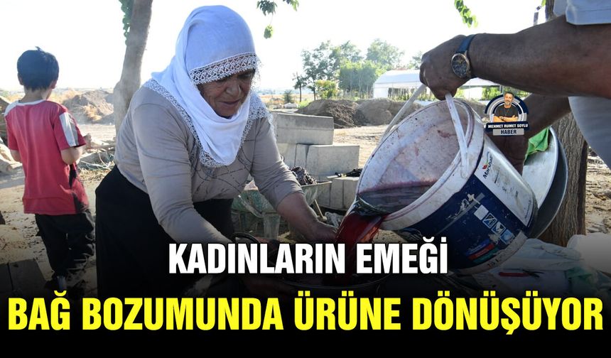 Kadınların emeği bağ bozumunda ürüne dönüşüyor