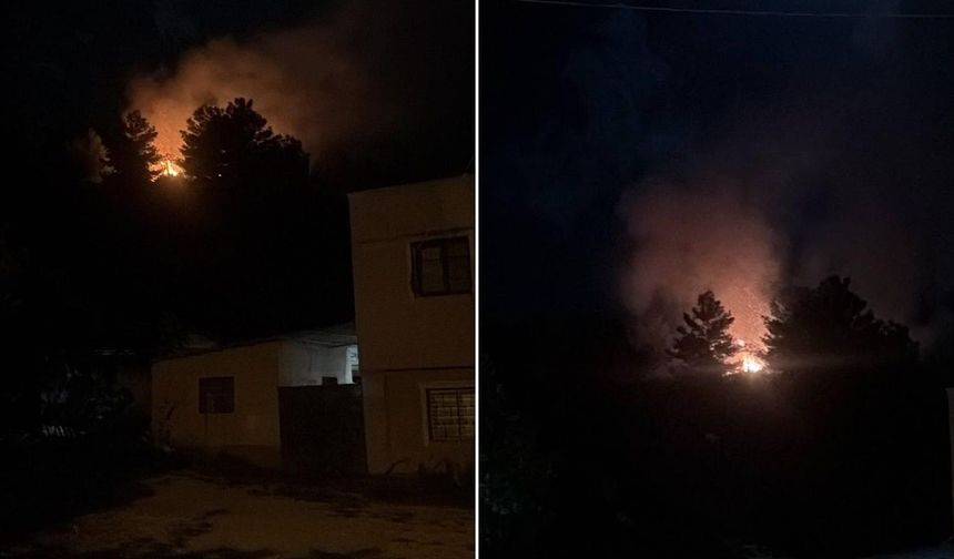 Havai fişek ormanlık alanda yangına neden oldu