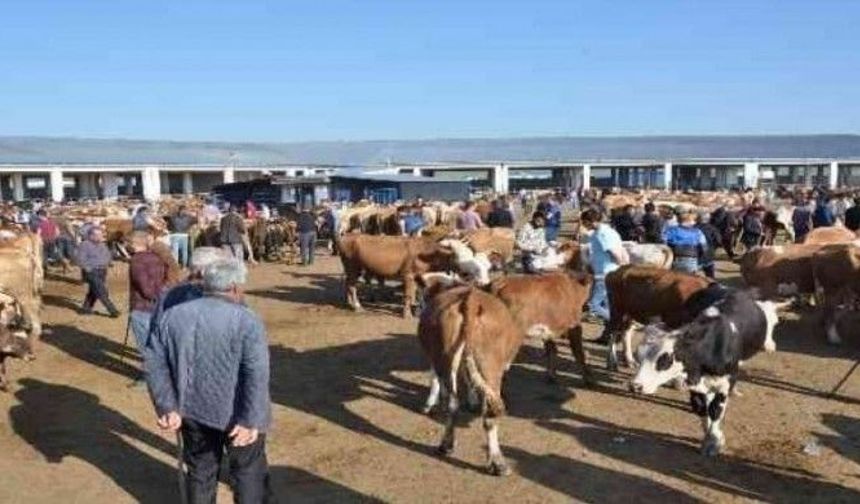 Şap hastalığından hayvan pazarları kapatıldı