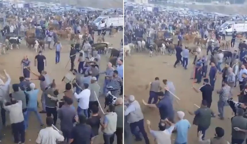 Diyarbakır hayvan pazarında kavga: Çok sayıda yaralı var