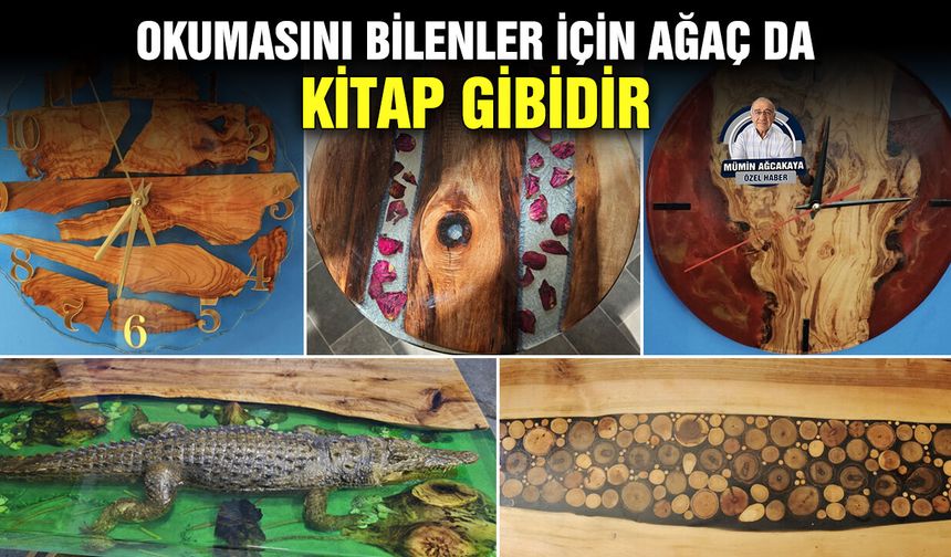 Okumasını bilenler için ağaç da kitap gibidir