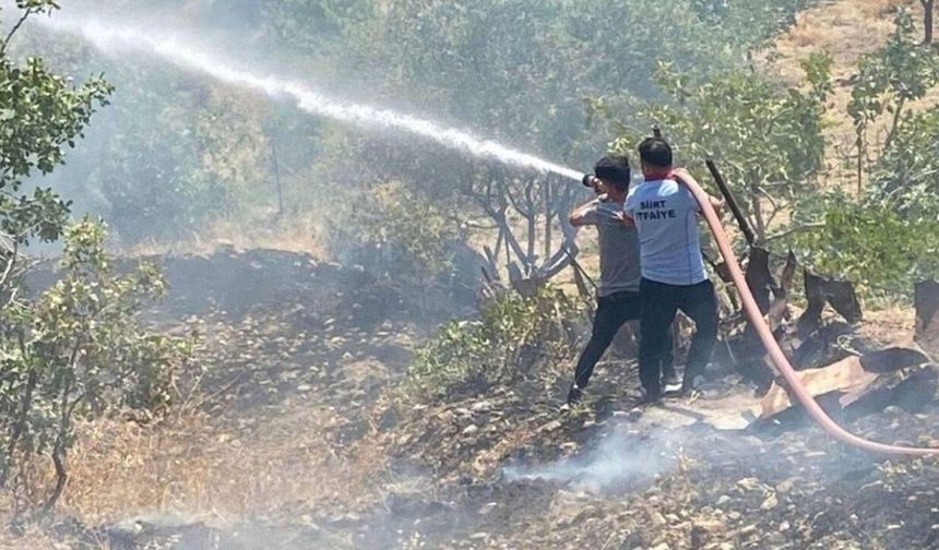 Siirt’te orman yangını: Ekiplerin müdahalesi sürüyor