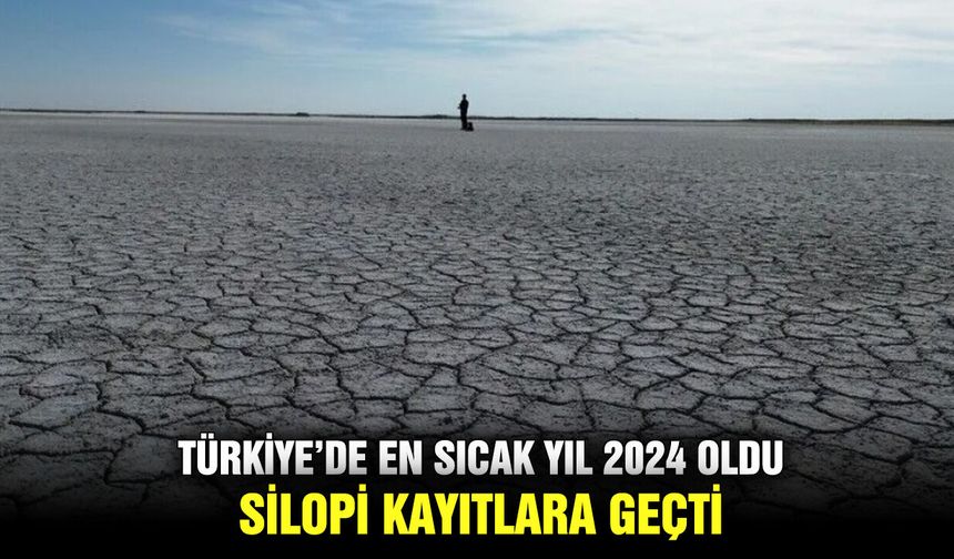 Türkiye’de en sıcak yıl 2024 oldu, Silopi kayıtlara geçti
