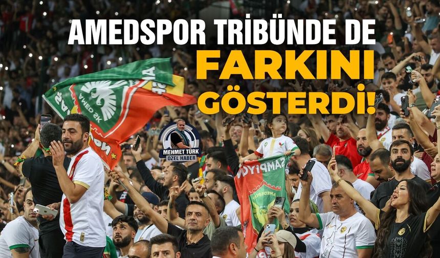 Amedspor tribünde de farkını gösterdi