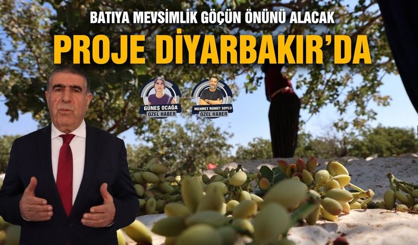 Batıya mevsimlik göçün önünü alacak proje Diyarbakır’da