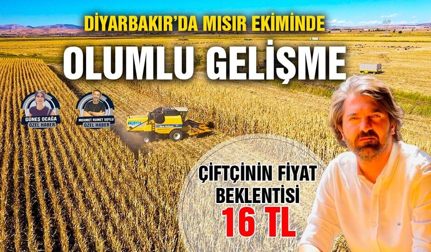 Diyarbakır’da mısır ekiminde olumlu gelişme: Çiftçinin fiyat beklentisi 16 TL