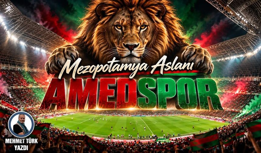 Mezopotamya Aslanı AMEDSPOR