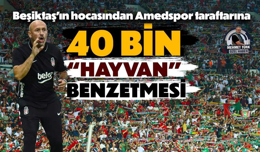 Beşiktaş’ın hocasından Amedspor taraftarına 40 bin “Hayvan” benzetmesi