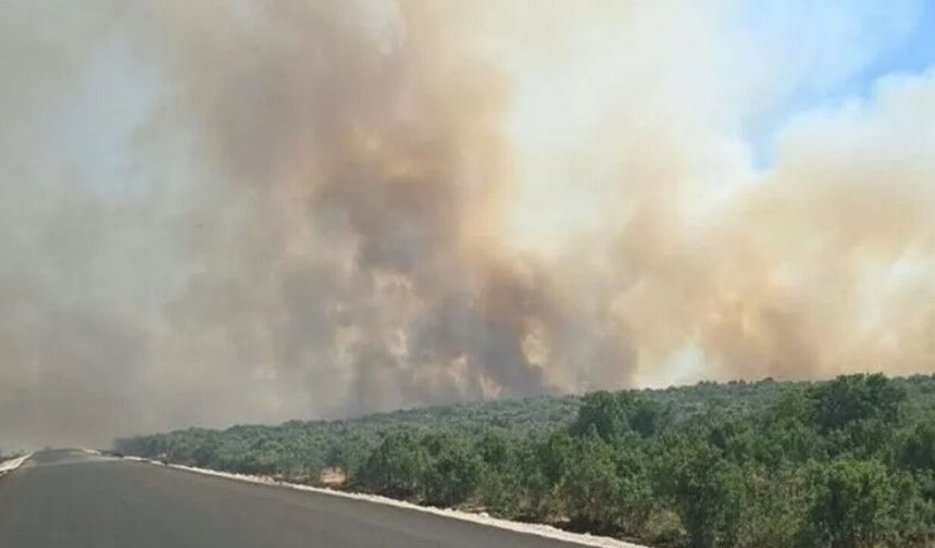Diyarbakır’da yangın ormanlık alana sıçradı