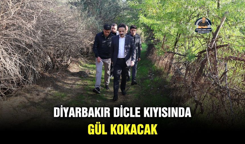 Diyarbakır Dicle kıyısında gül kokacak