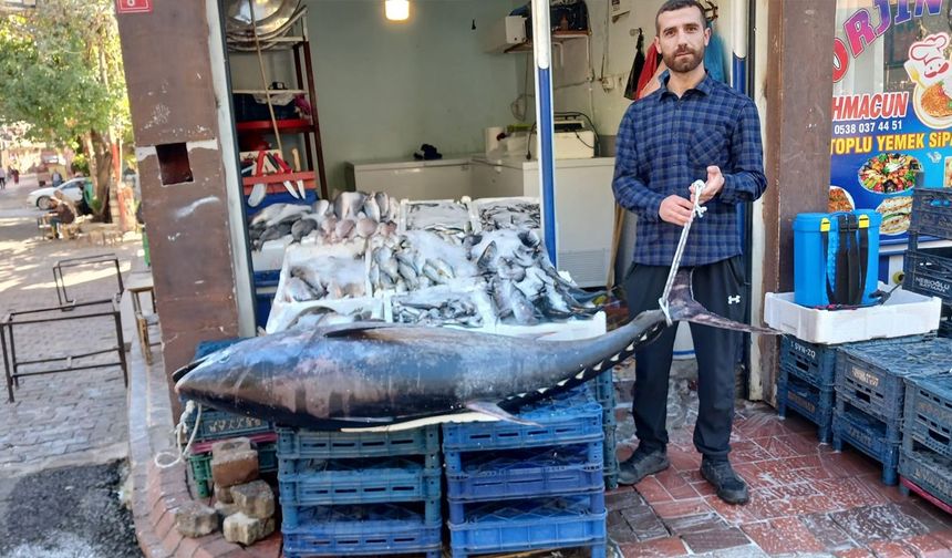 Diyarbakır Ergani’de 100 kiloluk dev orkinos şaşkınlığı