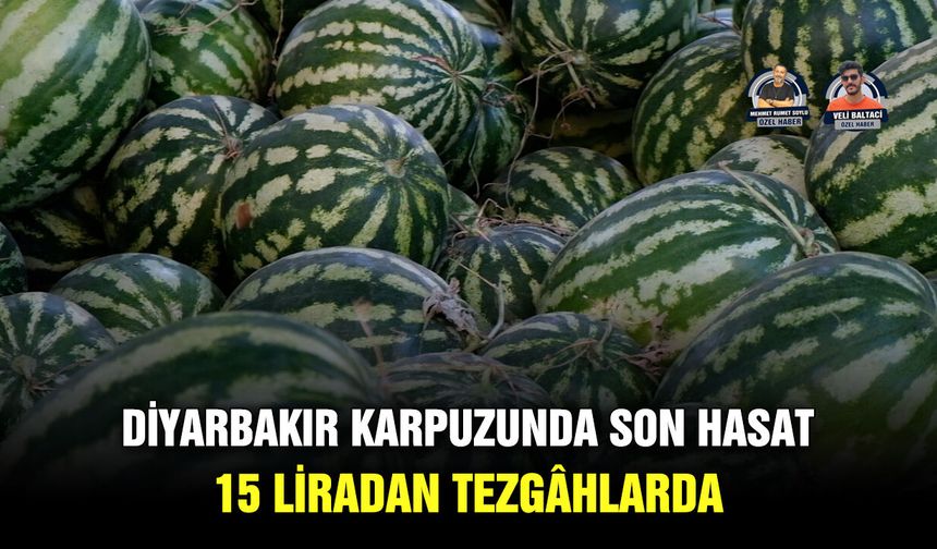 Diyarbakır karpuzunda son hasat 15 liradan tezgâhlarda