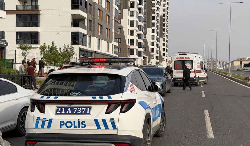 Diyarbakır'daki kavgada 2 yaralı