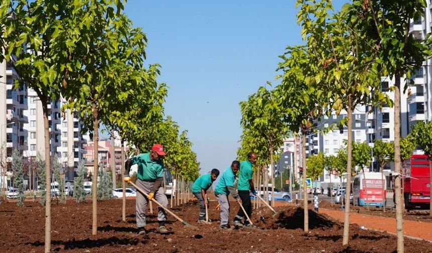 Diyarbakır'da 9 bin yeni ağaç dikildi