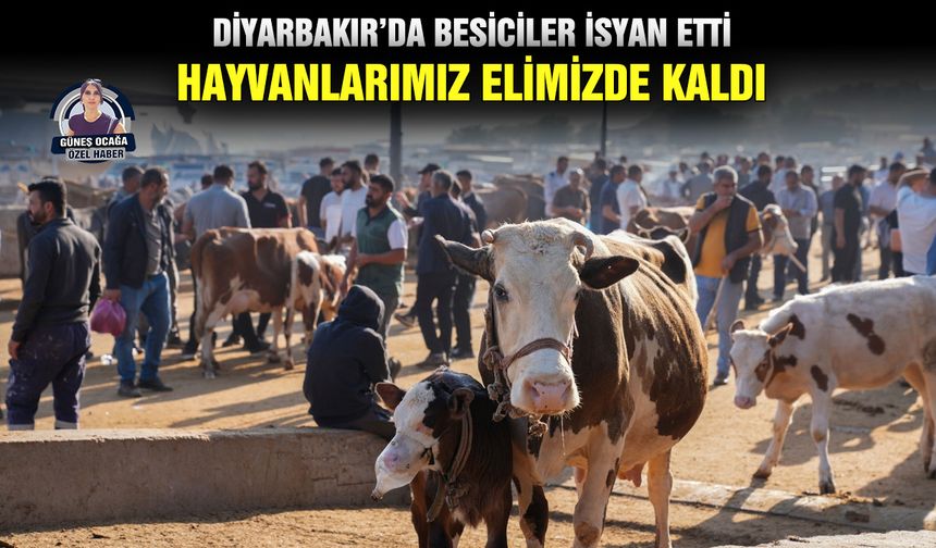 Diyarbakır’da besiciler isyan etti: Hayvanlarımız elimizde kaldı