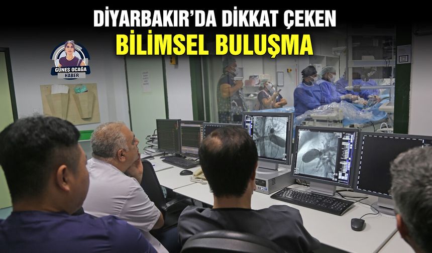 Diyarbakır’da dikkat çeken bilimsel buluşma