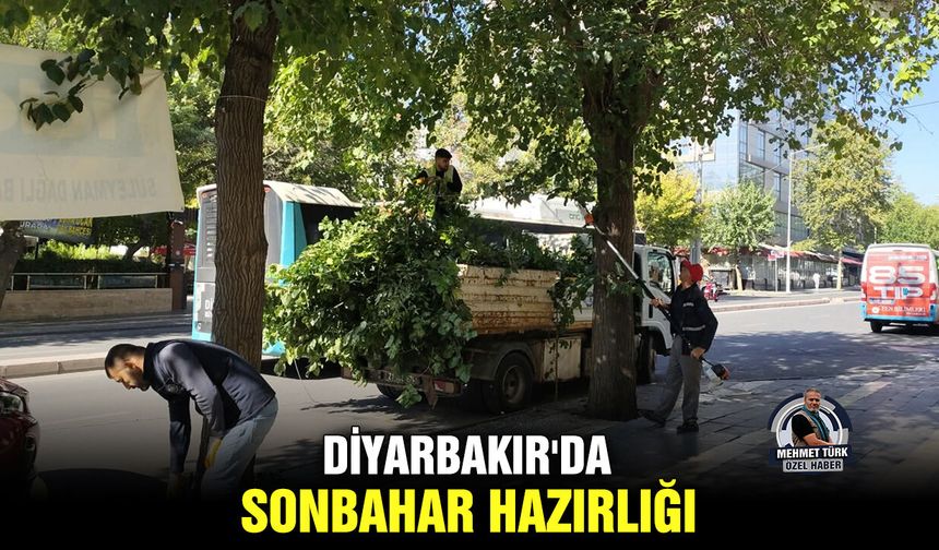 Diyarbakır'da Sonbahar hazırlığı