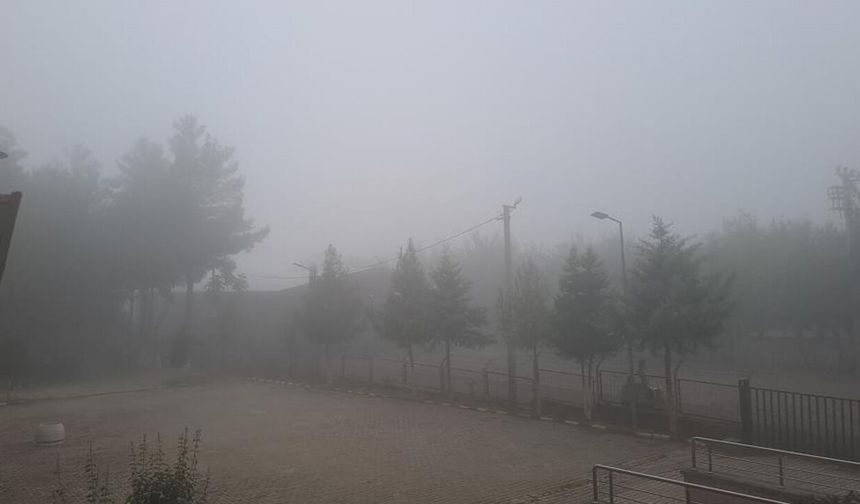 Diyarbakır'ın Silvan ilçesinde yoğun sis
