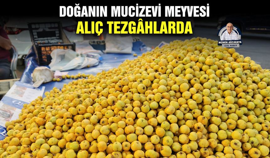 Doğanın Mucizevi Meyvesi Alıç Tezgâhlarda
