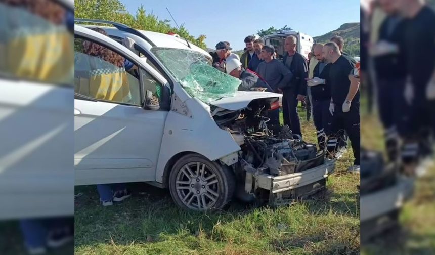Diyarbakır'da otomobilin motor kısmında doğan kedi yavruları kurtarıldı