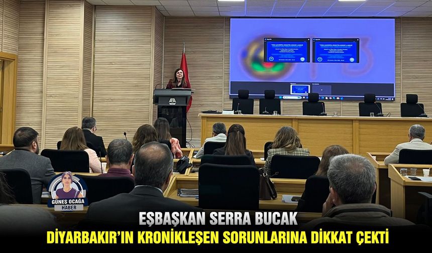 Eşbaşkan Serra Bucak, Diyarbakır’ın kronikleşen sorunlarına dikkat çekti