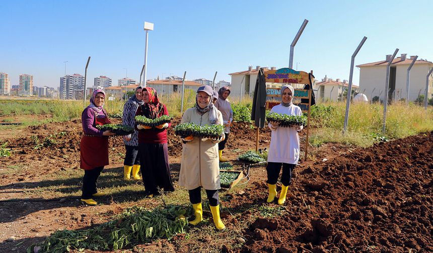 Diyarbakır’da kadınlar kışlık üretime başladı!