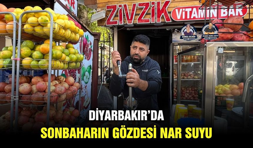 Diyarbakır’da sonbaharın gözdesi nar suyu