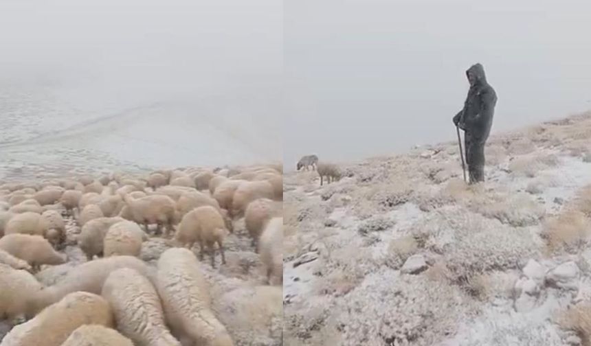Tunceli'de yüksek kesimlere kar yağdı