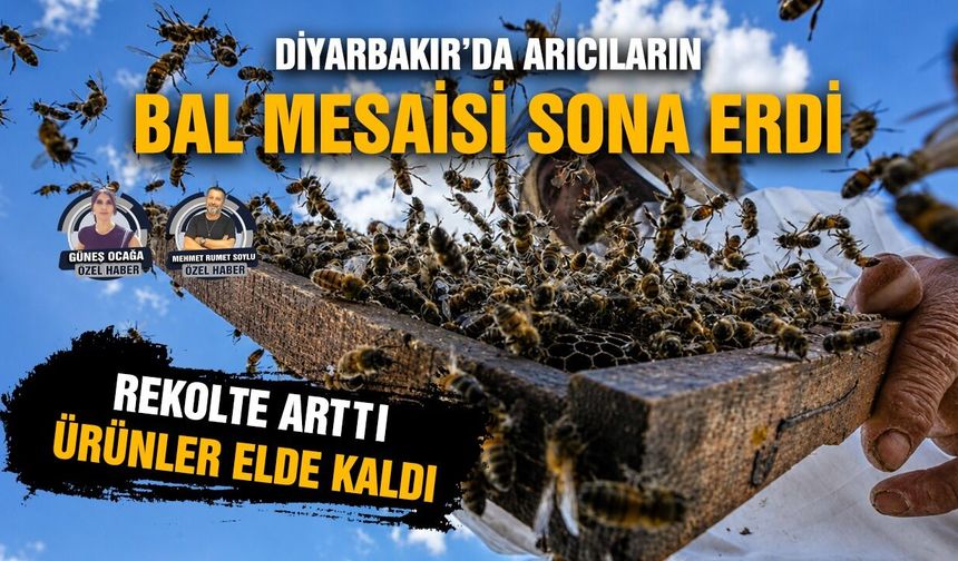 Diyarbakır’da arıcıların bal mesaisi sona erdi:  Rekolte arttı, ürünler elde kaldı