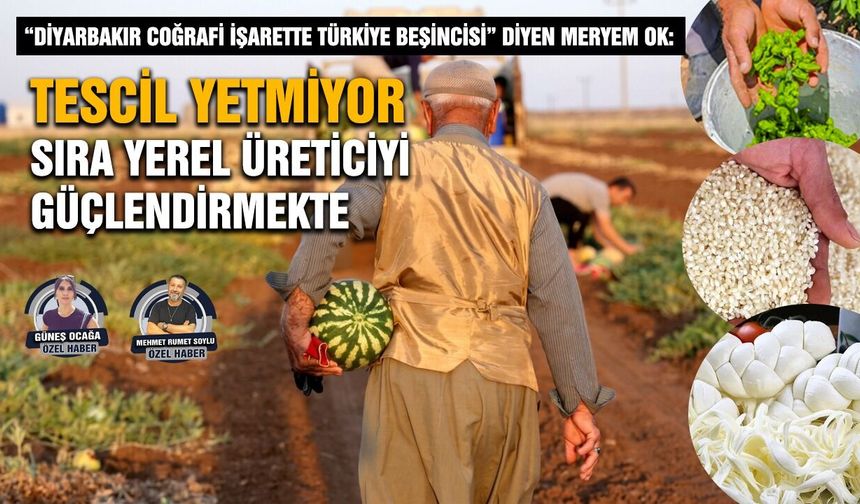 Diyarbakır coğrafi işarette Türkiye’de kaçıncı sırada?