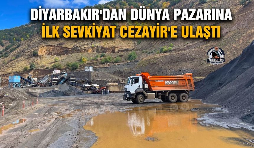 Diyarbakır'dan dünya pazarına; İlk sevkiyat Cezayir'e ulaştı
