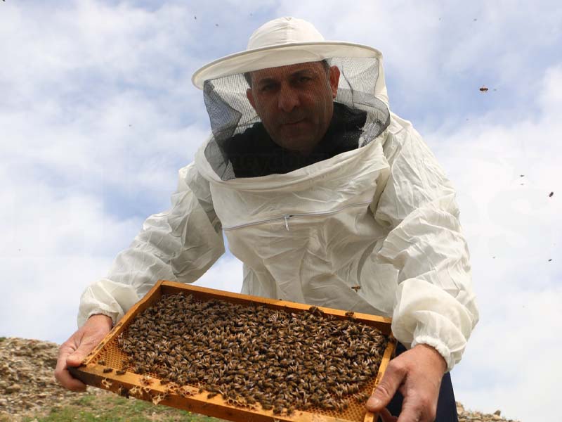 Diyarbakır'da Arıların Yüzde 30'U Telef Oldu2