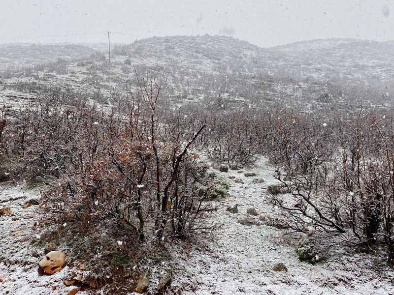 Diyarbakır’da Beklenen Kar Yağdı4